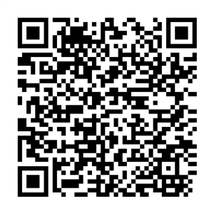 QR-код RussiaTravel.club