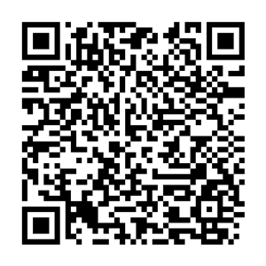 QR-код RussiaTravel.club