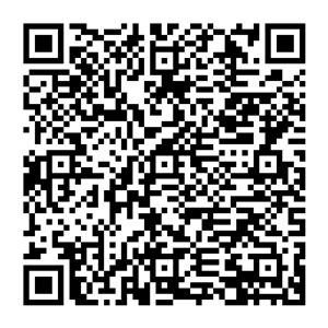 QR-код RussiaTravel.club