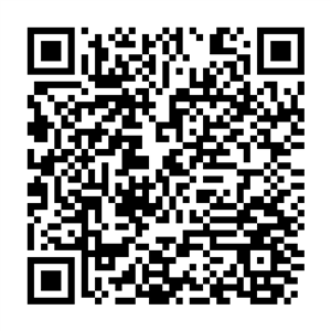 QR-код RussiaTravel.club