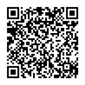 QR-код RussiaTravel.club