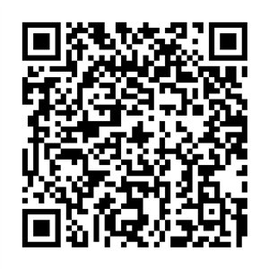 QR-код RussiaTravel.club