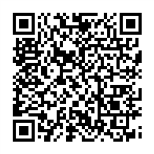 QR-код RussiaTravel.club